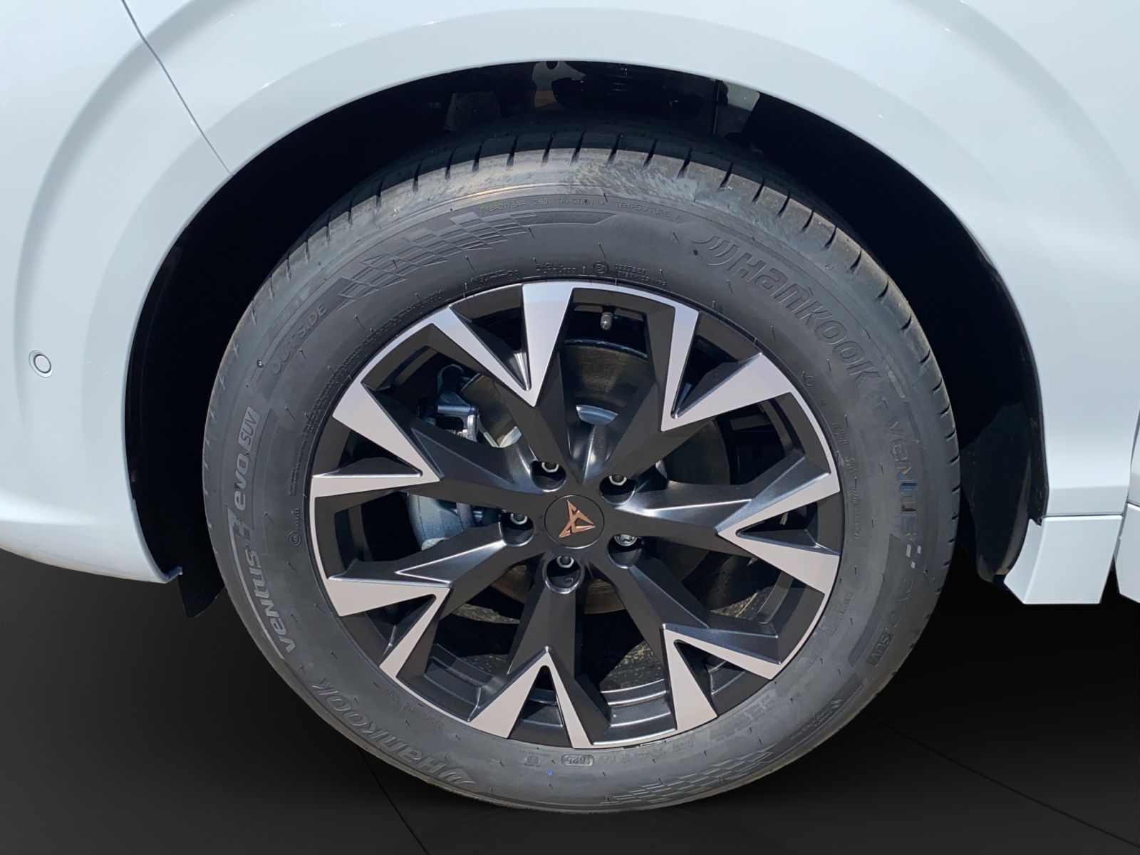 Cupra Terramar - Bild 22