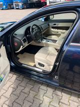 Jaguar XF X250 - Jaguar XF in Dortmund