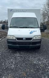 Fiat Fıat verkaufsmobil - Fiat Ducato in Herne