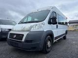 Fiat Ducato Behindertgerecht Rollstuhl/Klima/7-Sitzer - Fiat Ducato: 7 Sitzer