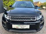 Land Rover Range Rover Evoque  2.0 TD4 Pure - Land Rover Range Rover Evoque mit Diesel-Antrieb: Geländewagen, Td4 Pure