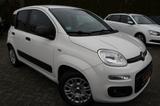 Fiat Panda Easy Klima/Allwetterreifen/nur 19.639 Km - Fiat Panda Gebrauchtwagen in Berlin