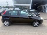 Fiat Grande Punto 1.4 8V Start TÜV NEU! - Fiat Grande Punto Start mit Benzin-Antrieb