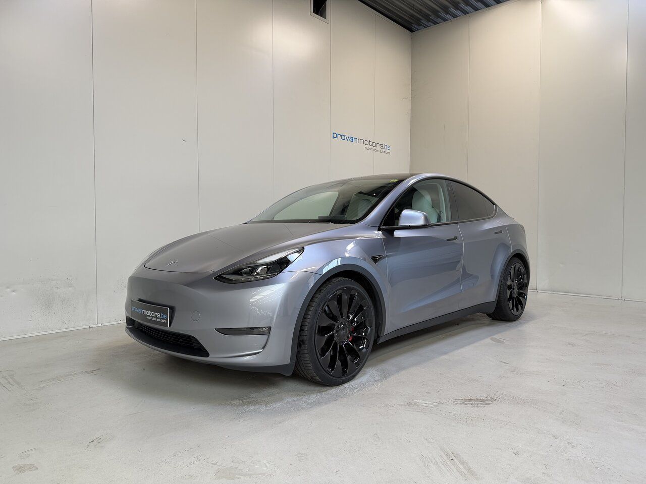 Tesla Model Y  Long Range Dual Motor - Performance - S