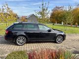 Skoda Octavia 2.0 TDI DSG Drive Combi DSG*LED*NAVI*ACC - Skoda Octavia Drive mit Diesel-Antrieb