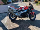Aprilia Tuono 1000 R - APRILIA TUONO 1000