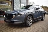 Mazda CX-30 2.5l 140PS 6AG Takumi Leder Bose 360° Matr - Mazda CX-30: Takumi
