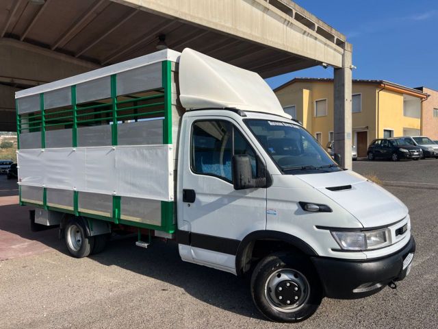 Iveco Daily 35C13 trasporto animali vivi patente