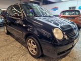 Volkswagen Lupo Basis - Volkswagen Lupo: Schwarz