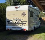 Ahorn Canada TE Plus - Ahorn Canada