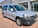 Volkswagen Caddy Kombi Maxi Roncalli 7 Sitze/Sitzhz/AHK/DAB - Volkswagen Caddy Maxi: Roncalli