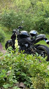 Suzuki GSX-S1000