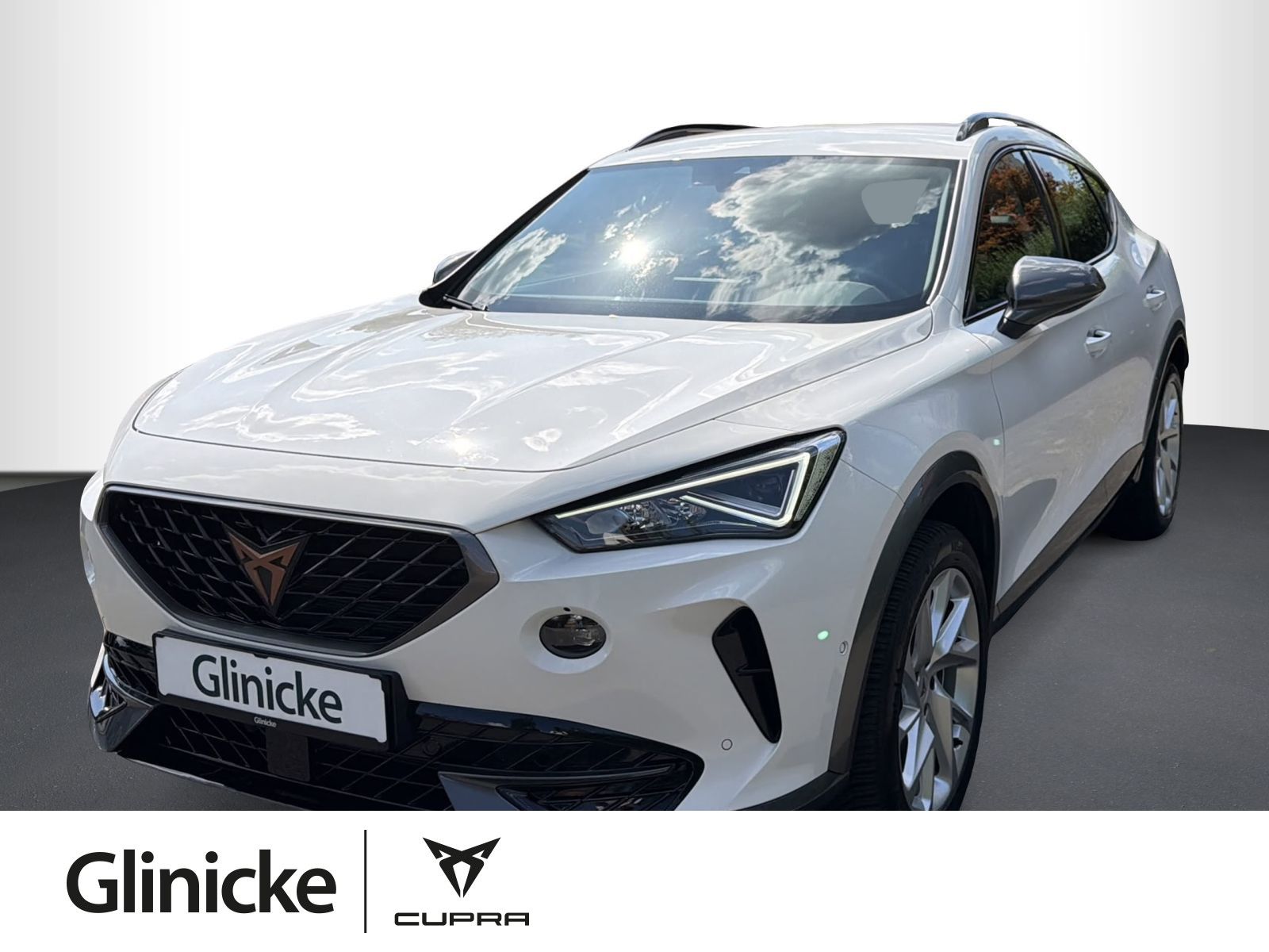 Cupra Formentor 1.5 TSI DSG, RFK, NAVI, SHZ