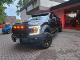 Ford FORD F-150 5.0 V8 | US-Pickup mit Charakter - Ford F 150: Geländewagen