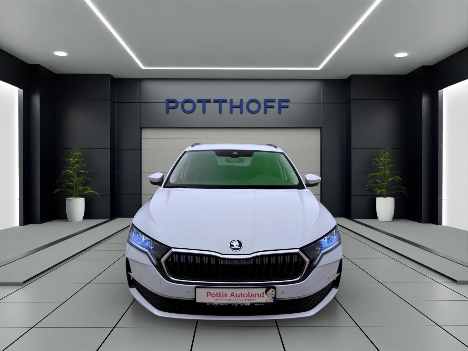 Skoda Octavia - Bild 8