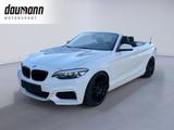 BMW 218i Cabrio Aut. *MFront*LED*LHZ*H/K*PDC*DAB*Nav - BMW 218: I