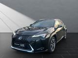 Lexus UX 250h*EXECUTIVE*PANO*PREMIUM*1HD*PANO* HUD* - gebrauchte Lexus UX aus dem Jahr 2024