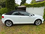 Audi A3 Cabriolet Ambition 1.8 TFSI 118 KW (160 PS) - Audi Cabriolet: Leder