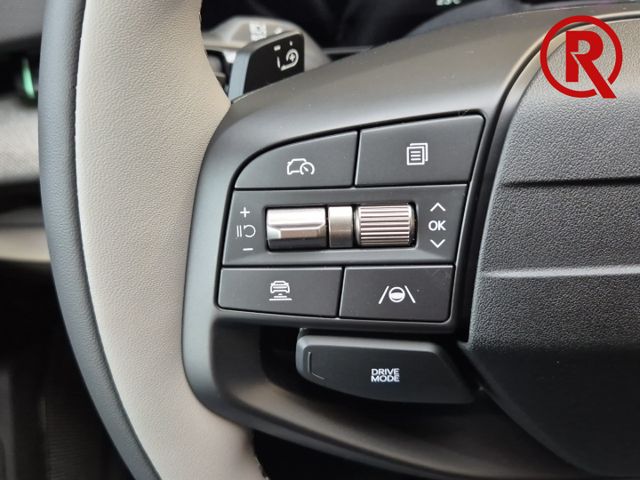 EV4 Fastback Earth 81.4 kWh Totwinkelassistent P