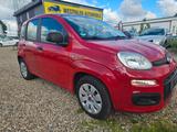 Fiat Panda Pop 1.Hand 30.000 KM Rentner Fahrzeug - Fiat Panda Kleinwagen Km h mit Benzin-Antrieb