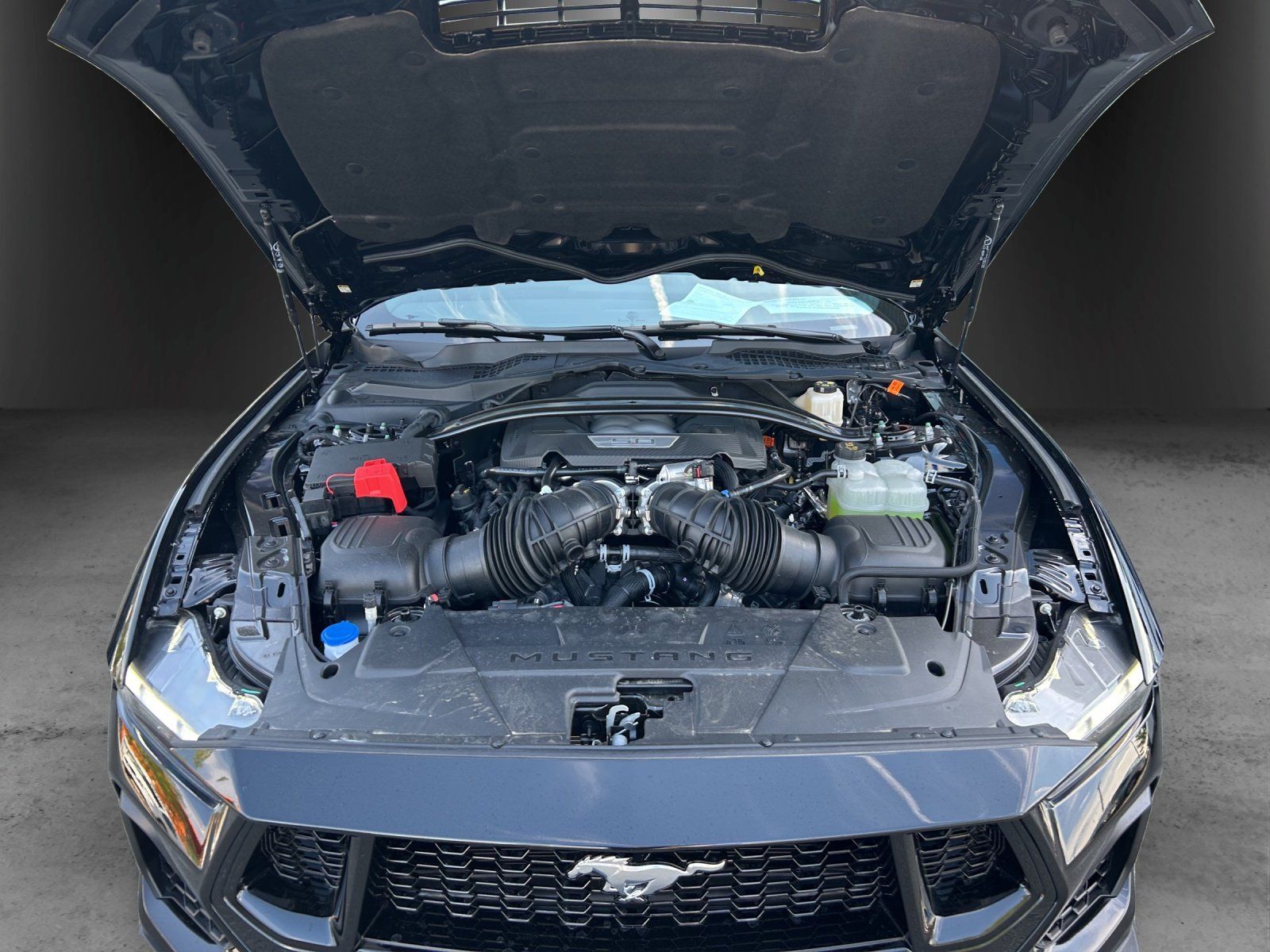 Fahrzeugabbildung Ford Mustang Fastback GT MagneRide Bremsen Rot