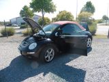 Volkswagen Beetle - Volkswagen Beetle aus 2006