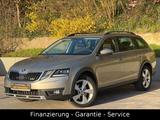 Skoda Octavia 2.0 TDI DSG Scout 4x4/1 HAND/ACC/LED/AHK - mit Diesel-Antrieb: Beige, mit Navigationssystem, Kombi