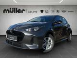 Mazda 2 Hybrid VVT-i 116 PS CVT FWD Centre - Mazda 2 Neuwagen