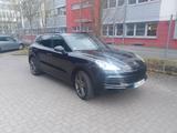 Porsche Cayenne S Approved 8/27 Bose Luft Pano - Porsche Cayenne in Mainz