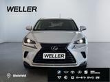 Lexus NX 300h Amazing Edition *Bi-LED*Soundsystem*SHZ* - Lexus: Allradantrieb
