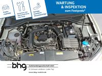 Volkswagen T-Roc - Vorschau Bild 15