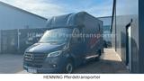 Mercedes-Benz Sprinter 2-Sitzer Pferdetransporter - Tier- & Pferdetransport für 2 Pferde