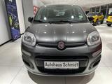 Fiat Panda Easy - gebrauchte Fiat Panda aus dem Jahr 2019