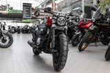 Other Benda Chinchilla 300 ABS, sofort lieferbar - Offers matching your search criteria