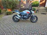 Honda CB600FA Hornet - HONDA CB 600 F HORNET