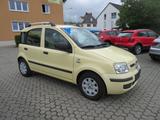 Fiat Panda 1.2 Dynamic - Fiat Panda: Dynamic