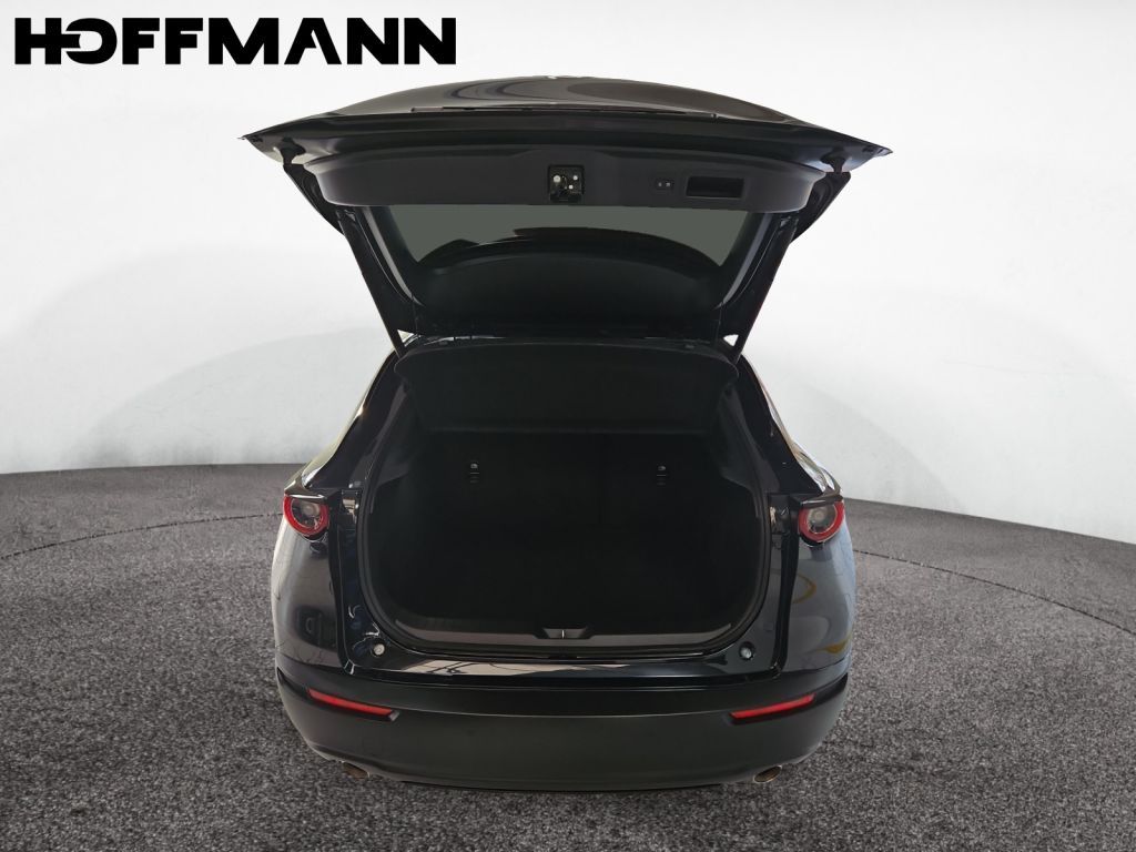 Fahrzeugabbildung Mazda CX-30 SKYACTIV-X 2.0 M-Hybrid SELECTION