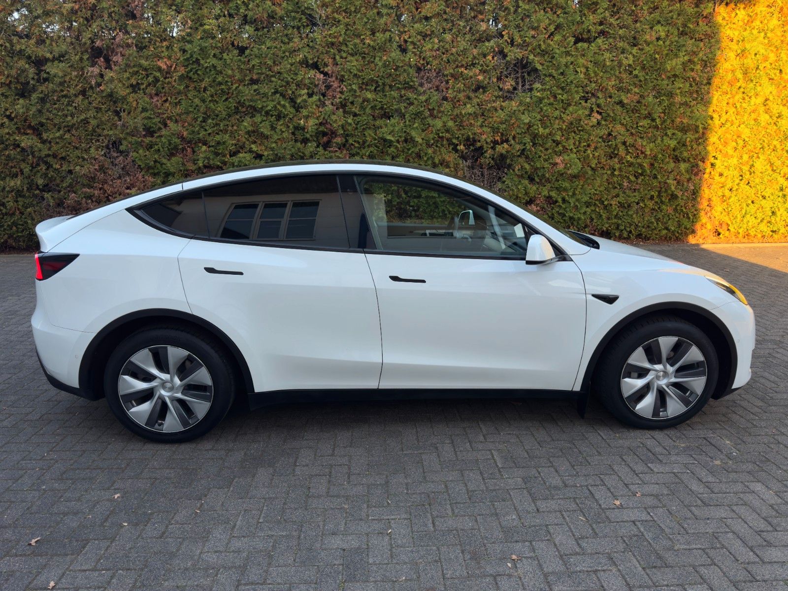 Tesla Model Y Long Range Dual AWD imagem 3