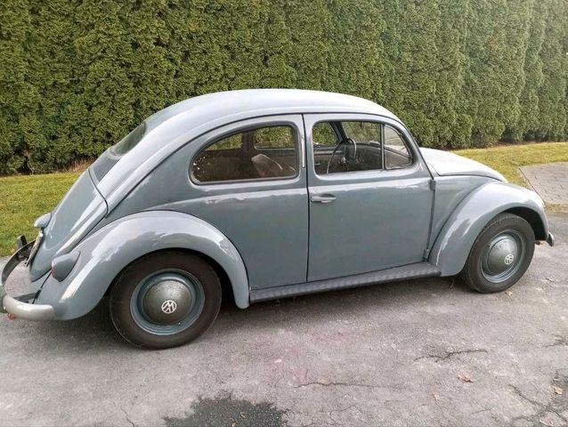 Volkswagen VW Käfer Ovali 1954 Sicke Standard Orig Motor