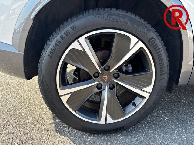 Formentor 1.5 TSI Navi SHZ Mehrzonenklima AHK-kl