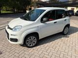 Fiat Panda 0.9 t.air t. natural power Lounge OK  - Fiat Panda Cabrio Gebrauchtwagen