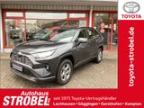 Toyota RAV 4 2.5 4x2 Hybrid Business Edit.grau oder sch - Toyota RAV 4 Tageszulassungen