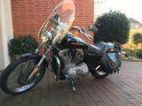 Harley-Davidson sportster 883 C - Offers matching your search criteria