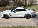 Ford Mustang  5.2L GT350 Shelby,392kw,RECARO - Ford Mustang: Shelby Gt350