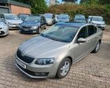Skoda Octavia 2.0 TDI Aut.Laurin & Klement Voll Euro 6 - Skoda Octavia: Laurin Klement