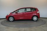 Honda Jazz 1.4 Exclusive Automatik Pano StzHzg Klima - Honda Jazz aus 2010