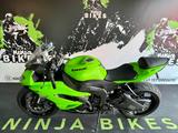 Kawasaki Zx*Zx6*Zx6r*zx600r*Shark*Service Neu* - KAWASAKI SPORTLER