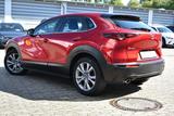 Mazda CX-30 Selection Skyactiv-G Aut. *360°-Kam*HUD* - Mazda CX-30 Gebrauchtwagen in Frankfurt