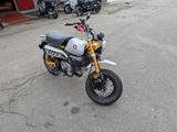Honda Z 125 Monkey Mod. 2025 - HONDA MOTORRAD