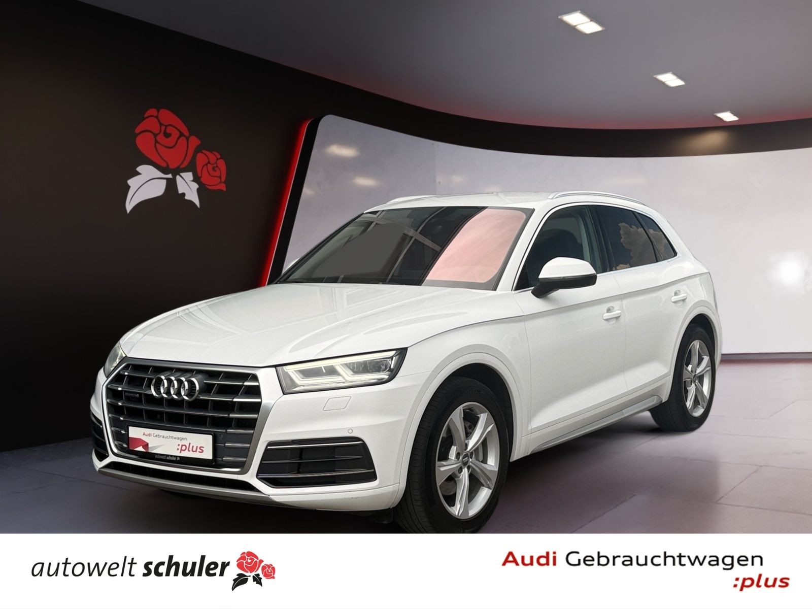 AUDI Q5 2.0 TDI quattro S-tronic Navi LED CarPlay ASI